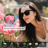 IMIKI Ai Smart Glasses 4K 800W Camera Music Play Video Recording Speed Recognition Translate Sunglasses for Studying Travaling