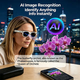 4K HD Upgrade Smart Glasses With Camera Video Recording AI Photo Recognition Bluetooth Call Translation Voice Sunglasses Men